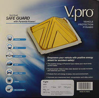 VPro Vehicle Protection Safeguard